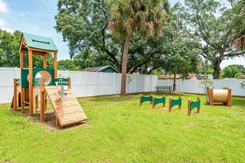 Fun and playful dog park
